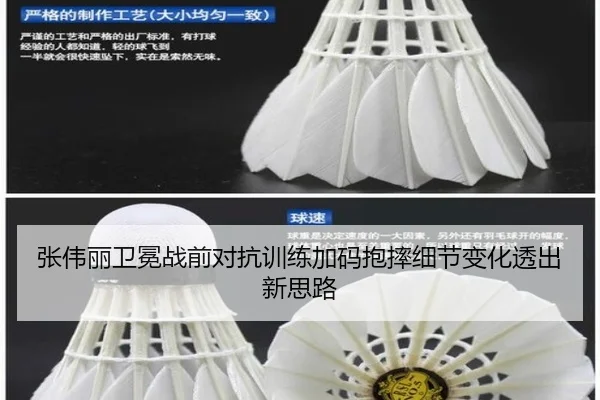 张伟丽卫冕战前对抗训练加码抱摔细节变化透出新思路